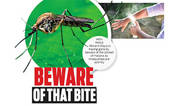 BEWARE OF THAT BITE BEWARE OF THAT BITE